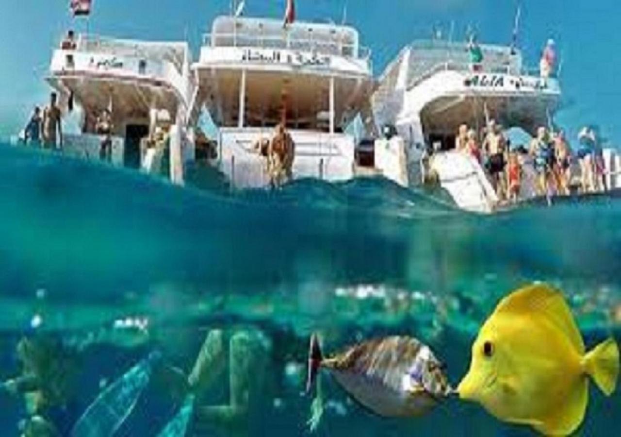 Joynant-Gouna Kite Road-2Room Mangroovy Free Beach Access - Pool View- Hurghada Buitenkant foto